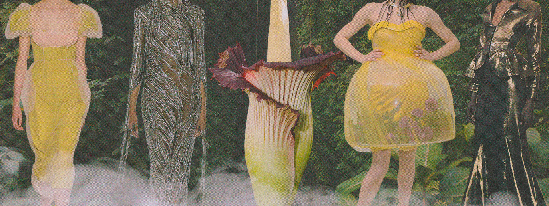 Discover the perfect outfit for Putricia, the famous Corpse Flower, as she prepares to make her grand debut to the world.