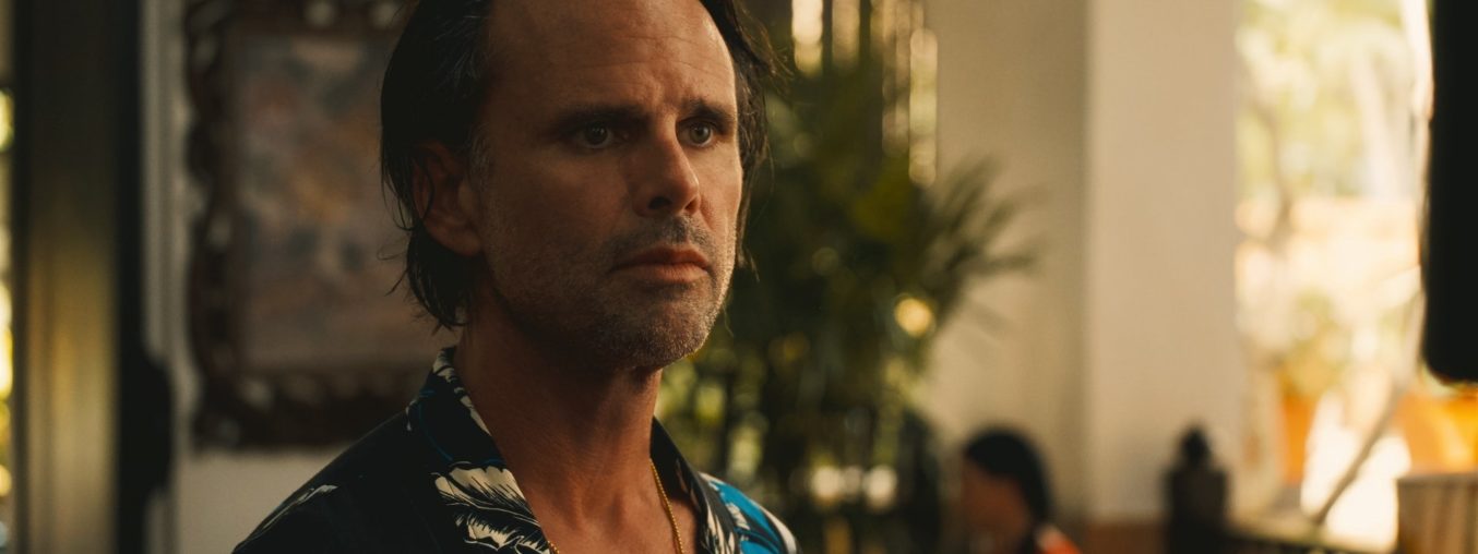 Découvrez le charme mélancolique de Walton Goggins vêtu de manière décontractée dans 'The White Lotus' et percez le mystère derrière cette fascination.