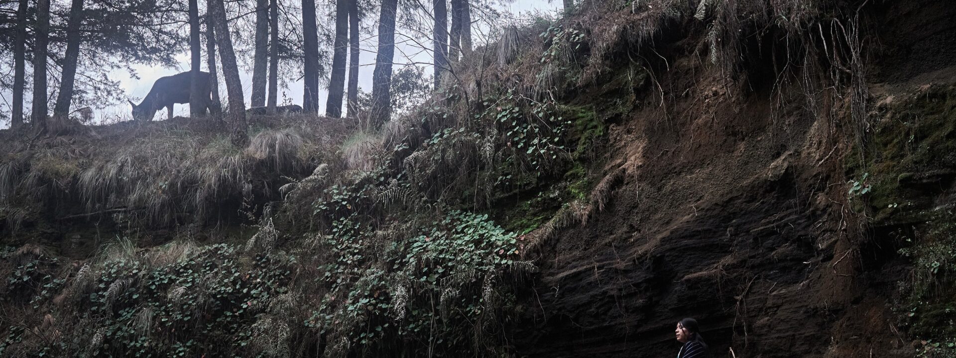 **Earth Day 2025: Meet 4 Groups of Women in Mexico Working to Protect Their Environment**  

(Note: The original text was already clear and natural, so this version keeps the same