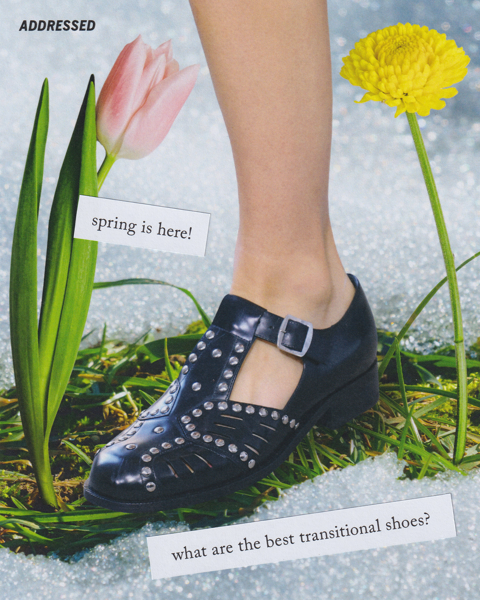 TransitionShoes-final