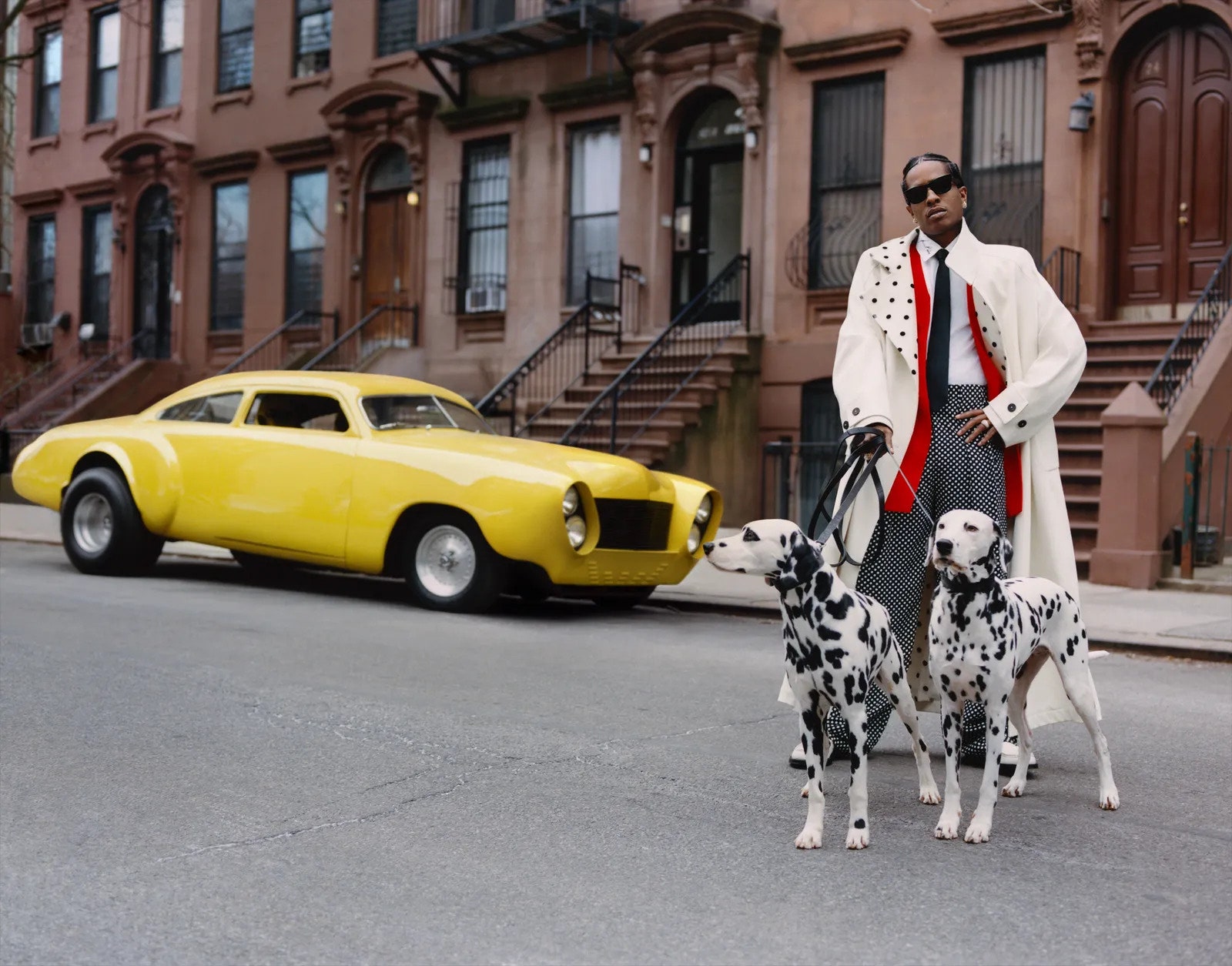 dalmation