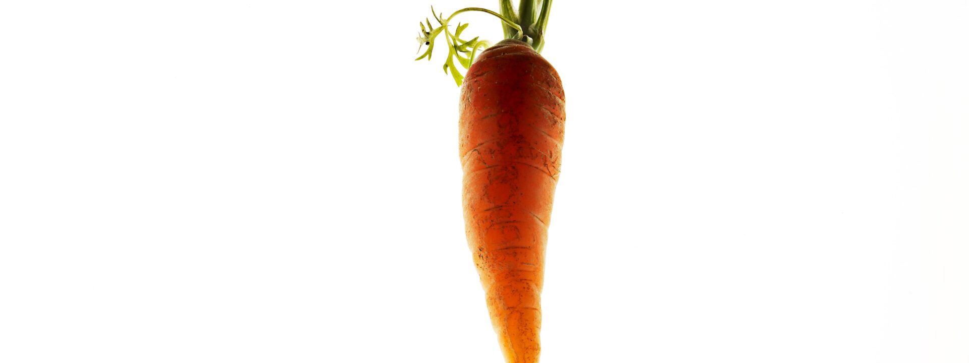 Can a Carrot Salad Give You Glowing Skin? The Truth About Food-Based Beauty Claims