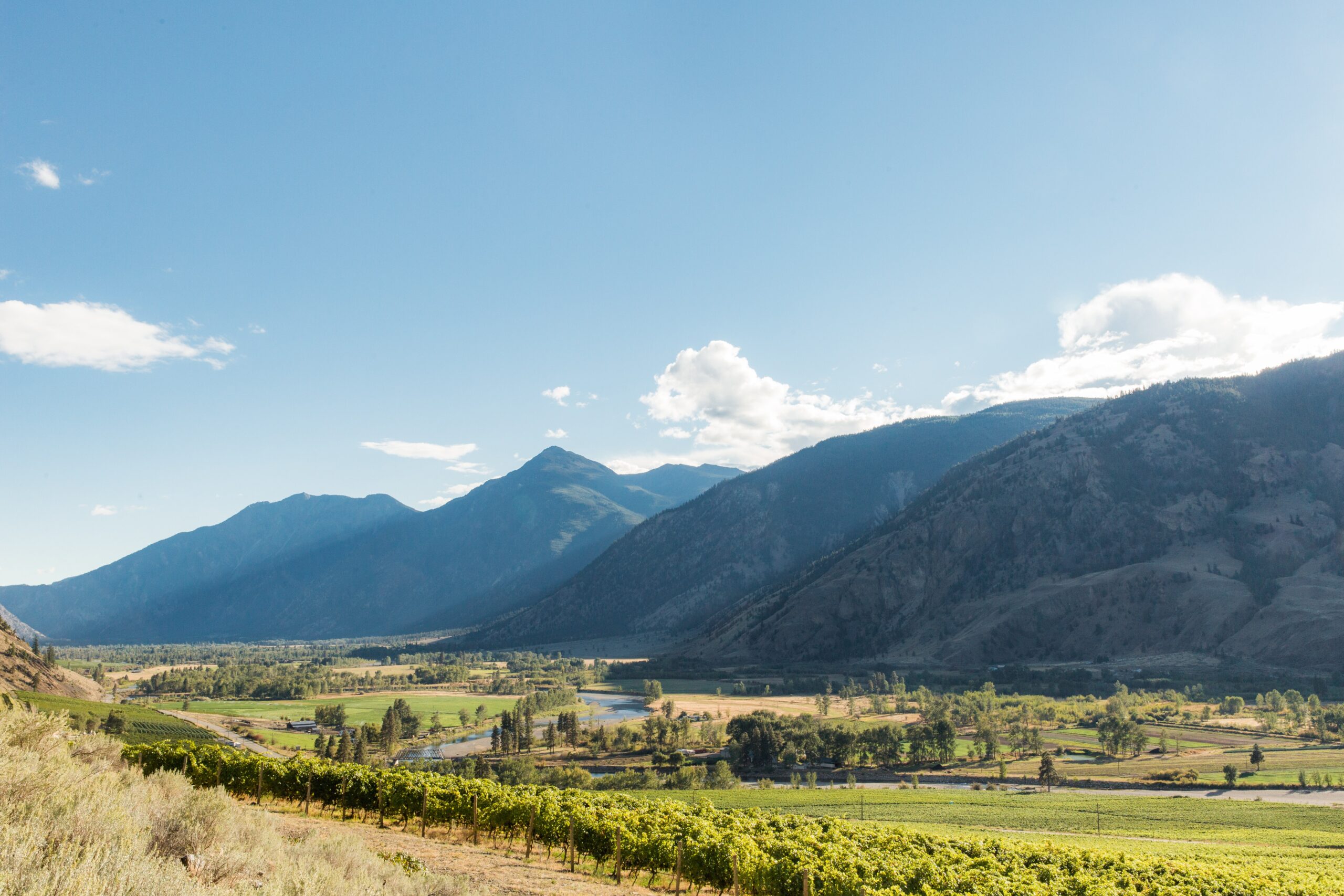 South20Okanagan_Photo20courtesy20of20Wine20Growers20British20Columbia_2