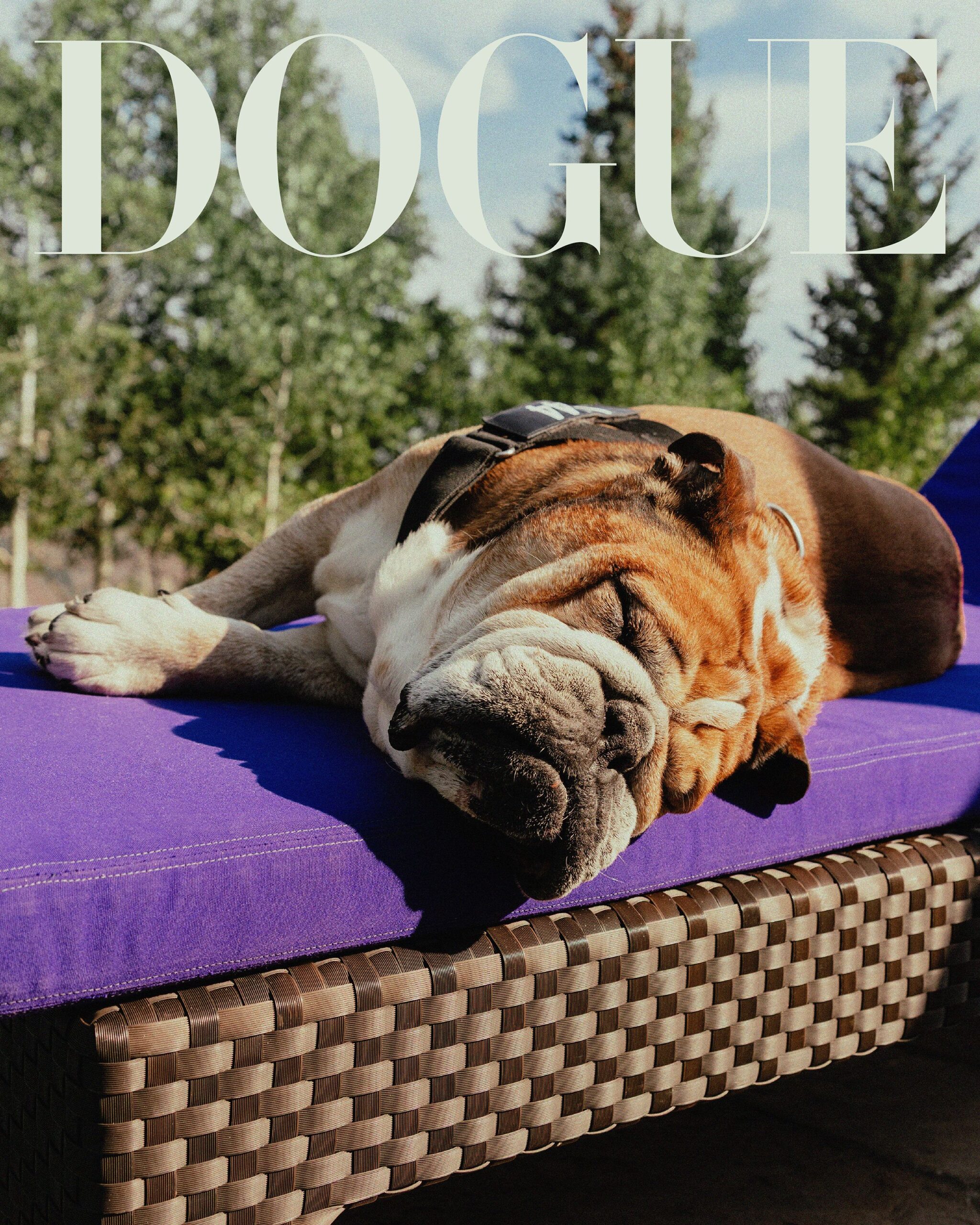 00-DOGUE2025_LEWISHAMILTON_SULAYKELLY_COVER-001RZ