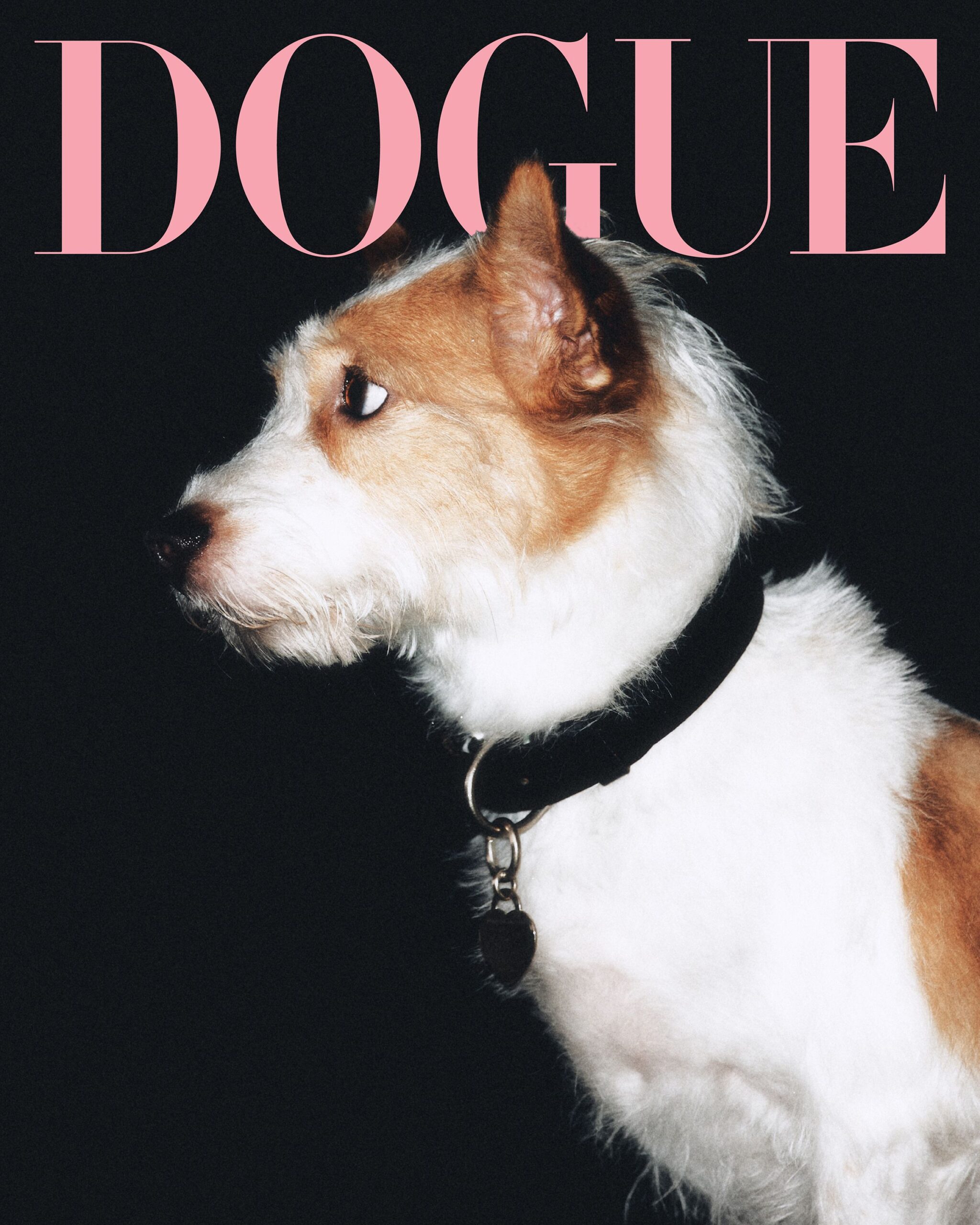 00-DOGUE2025_ROSECC81_SONGYIYOON_COVER-RZ