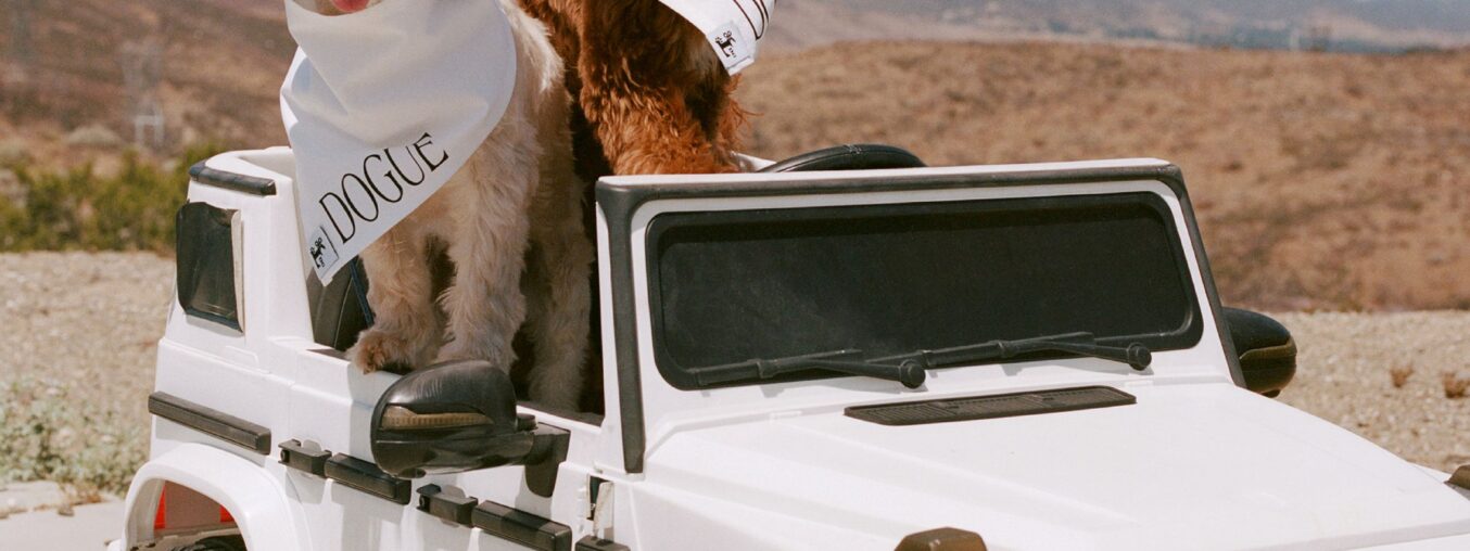 Sabrina Carpenter's dogs, Goodwin and Louie, are her best friends.
