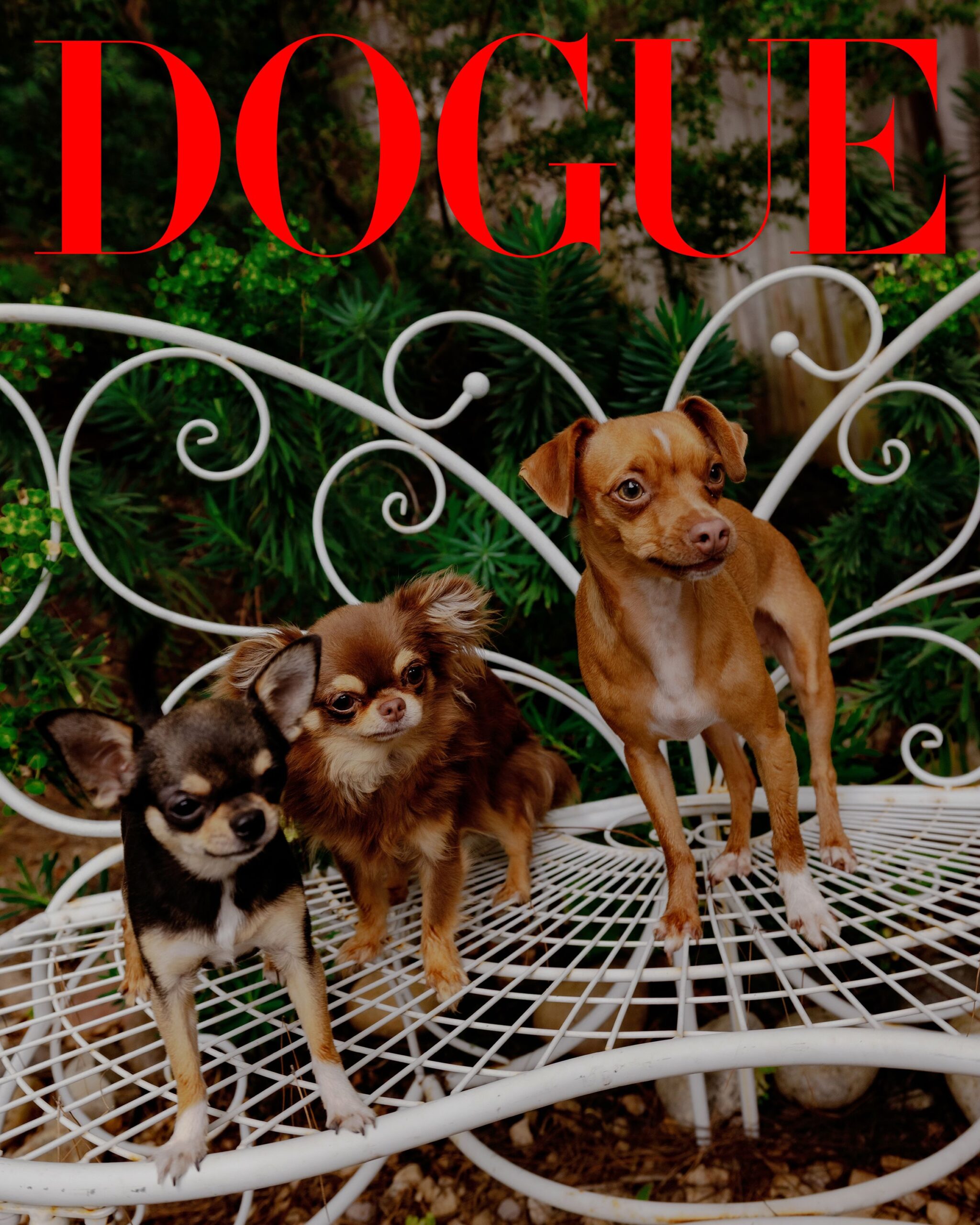 DOGUE2025_MIKEYMADISON_TRACYNGUYEN_COVER-RZ