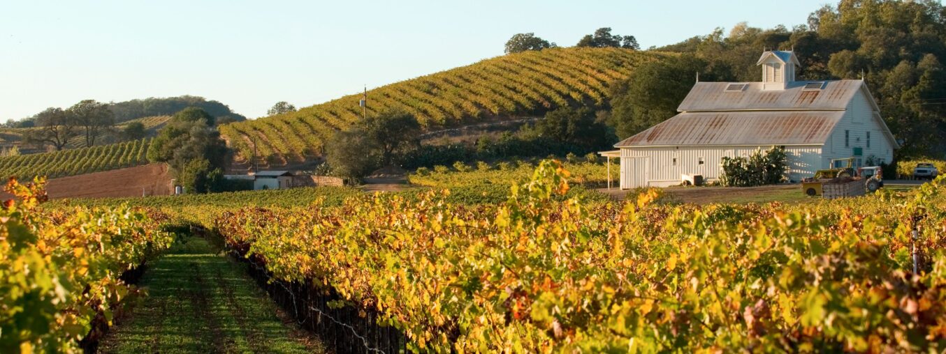 Napa Valley Guide: Best Places to Stay, Dine, and Taste Wine in California's Premier Wine Region  

Here’s a more natural and engaging version while keeping the meaning intact. The original