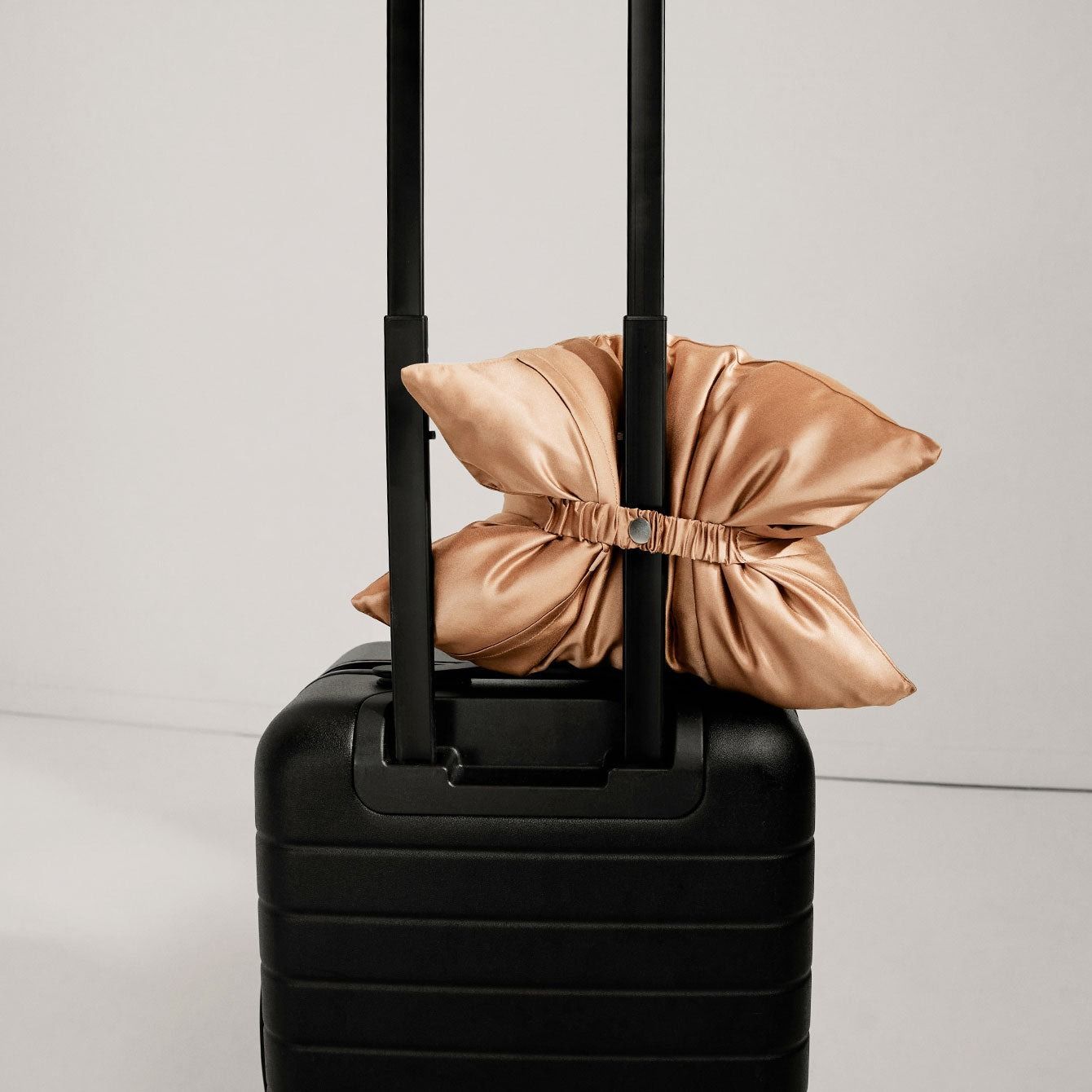 Washable-Silk-Travel-Pillow-Hush202