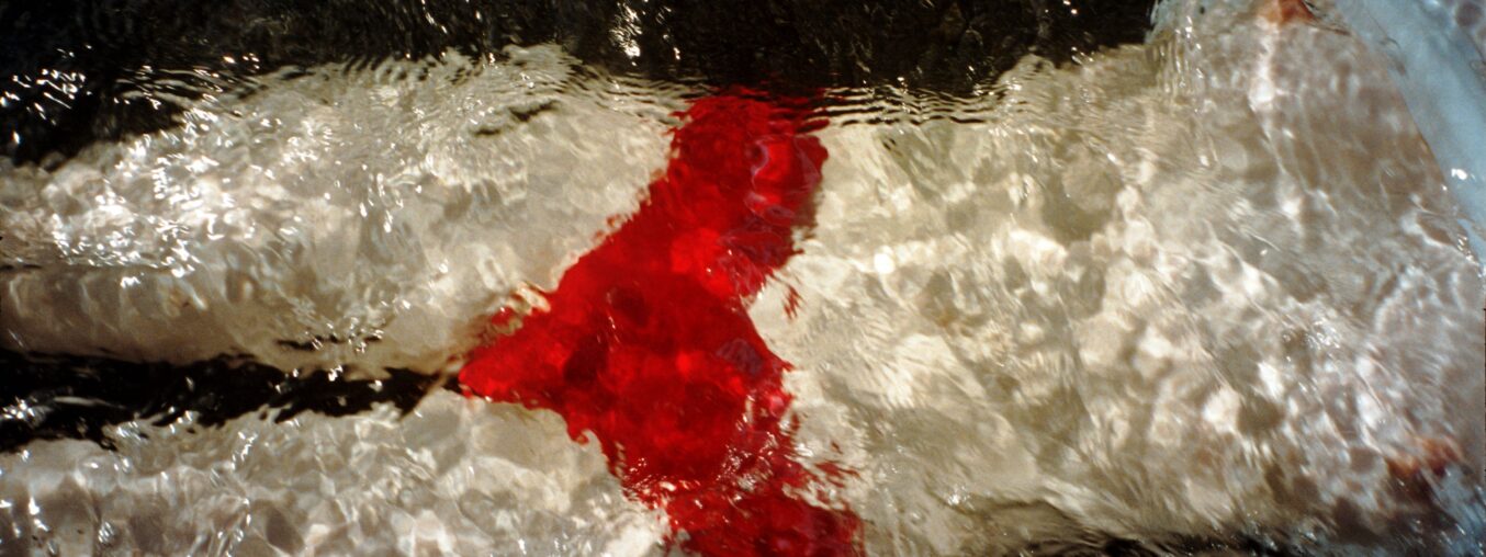 East and Southeast Asian Panorama Open Call: Introducing Grantee Keigo Wezel