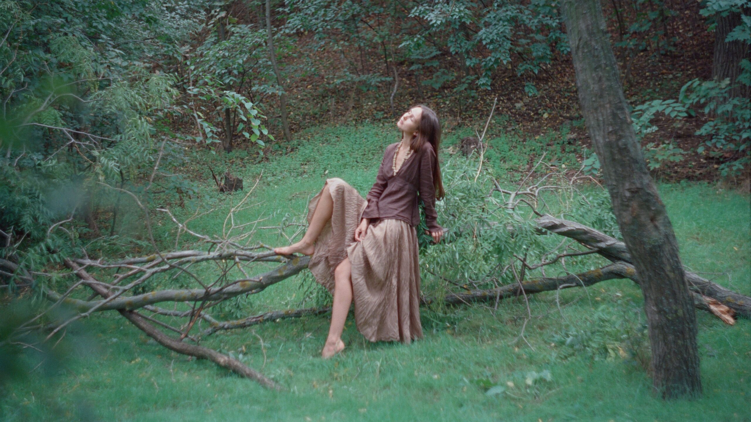 AdobeStock_118285031720120copy