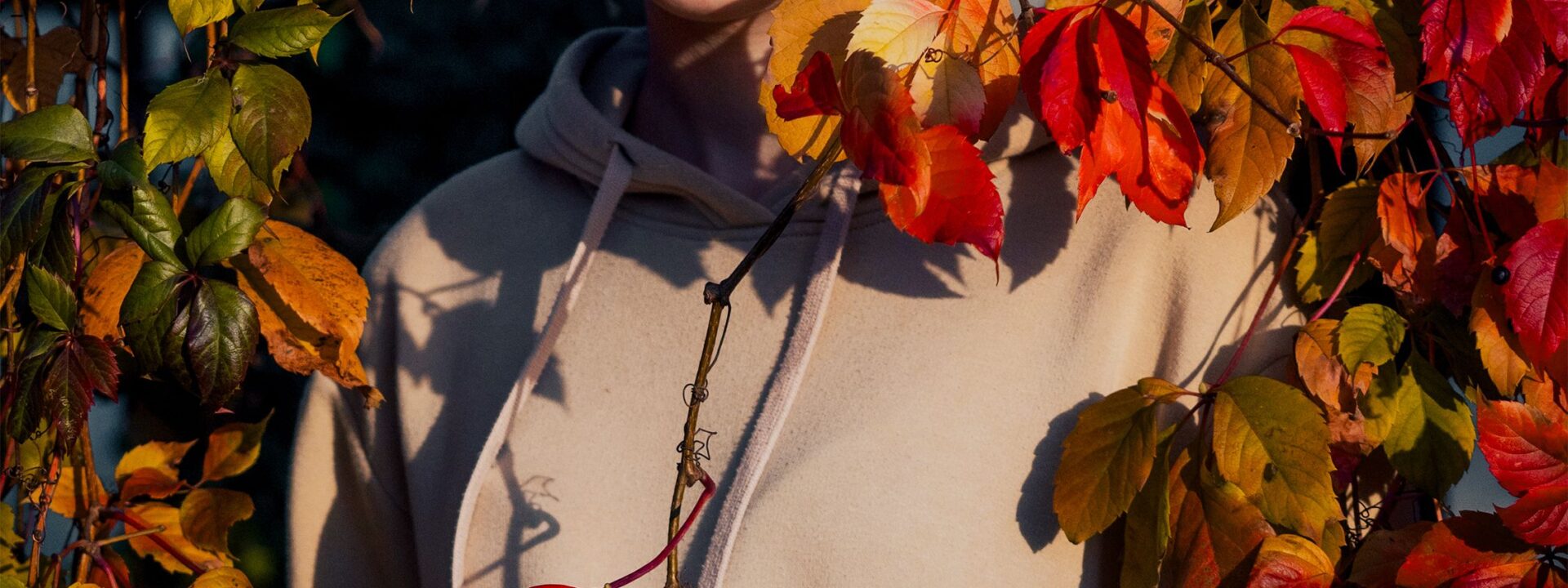 Three Simple Habits to Boost Your Energy This Autumn