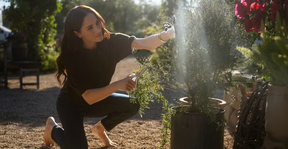 Meghan Markle embraces going barefoot for wellness, and she's in good company.