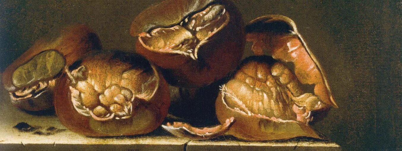 Chestnuts are making a comeback, from Dior event invites to spa treatments in the Dolomites.