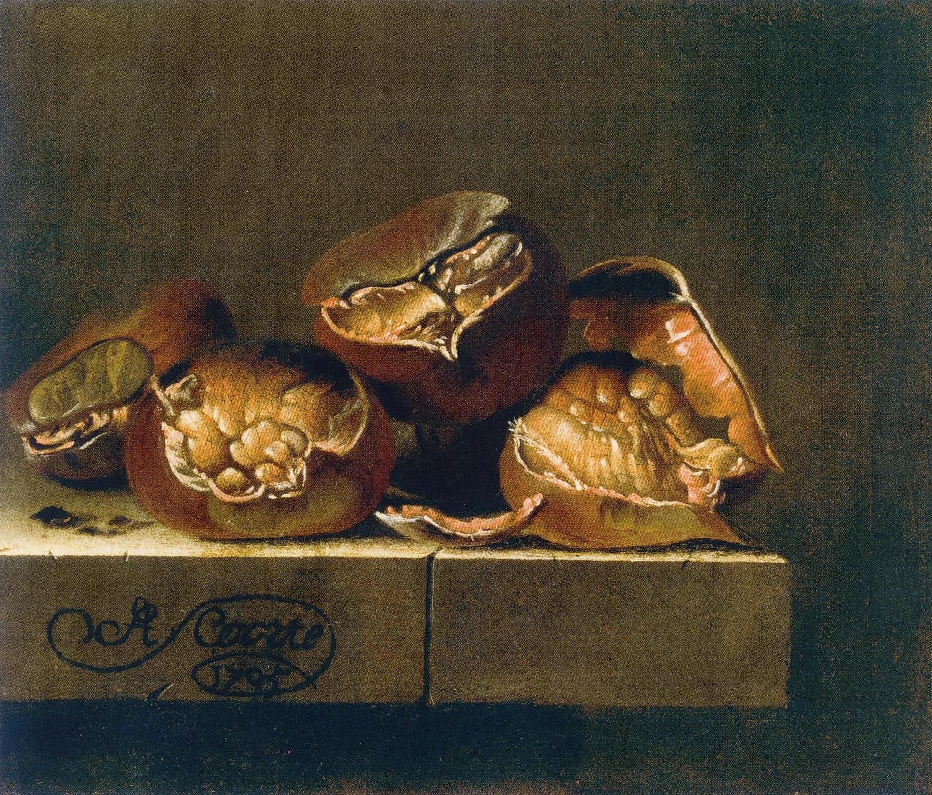 Adriaen_Coorte_-_Chestnuts