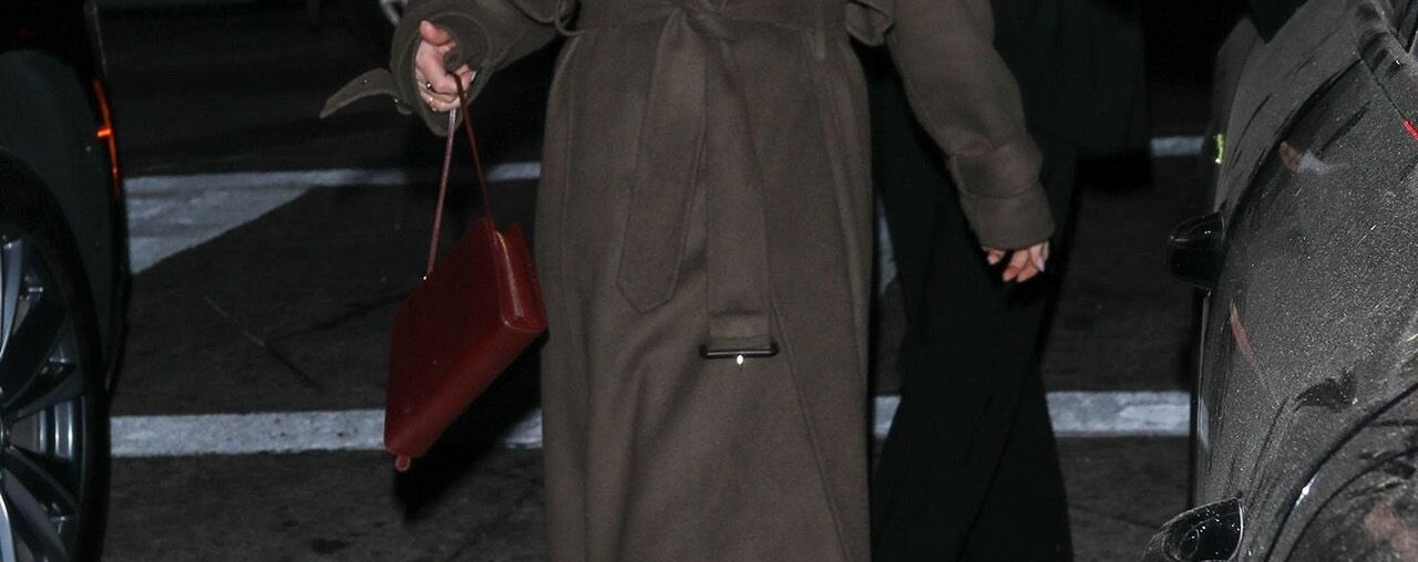 Dakota Johnson is spotted with a trendy new accessory from The Row.