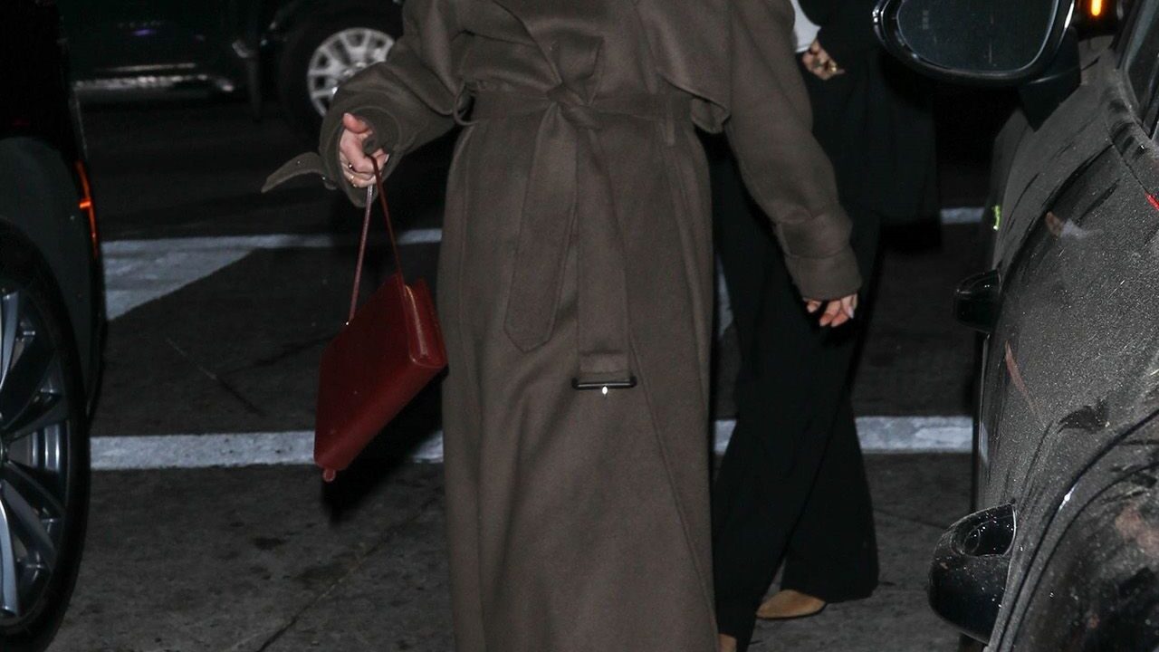 Dakota Johnson is spotted with a trendy new accessory from The Row.