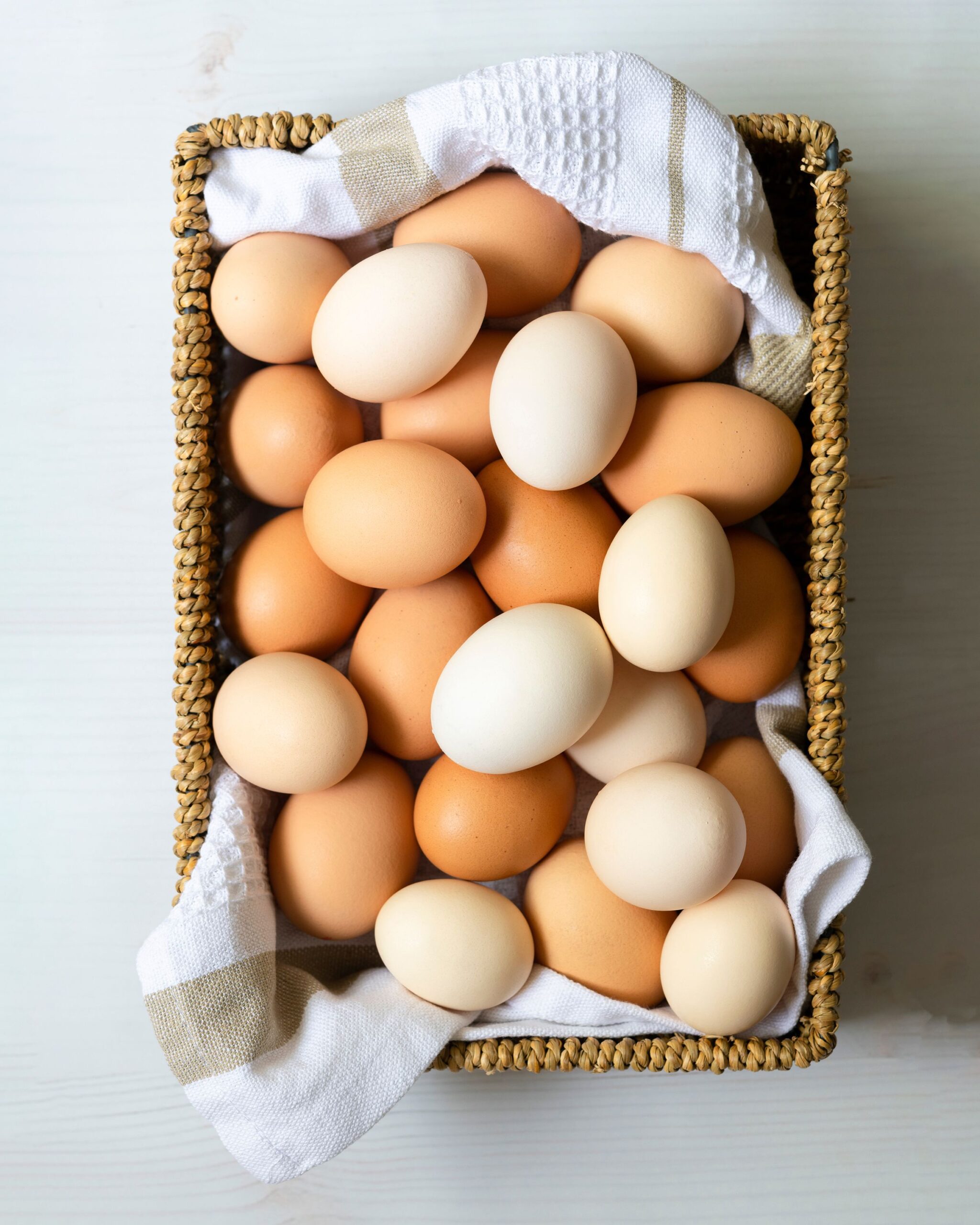 AdobeStock_24825348520copy