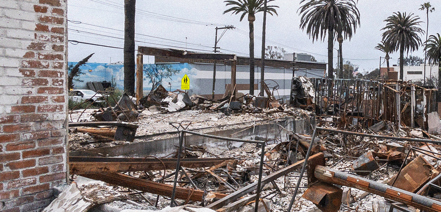 How LA Fashion Is Recovering After the Fires