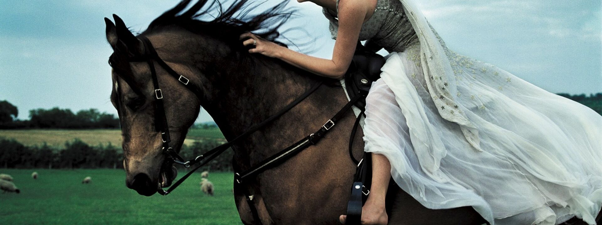 Here's what the Year of the Fire Horse means for you.