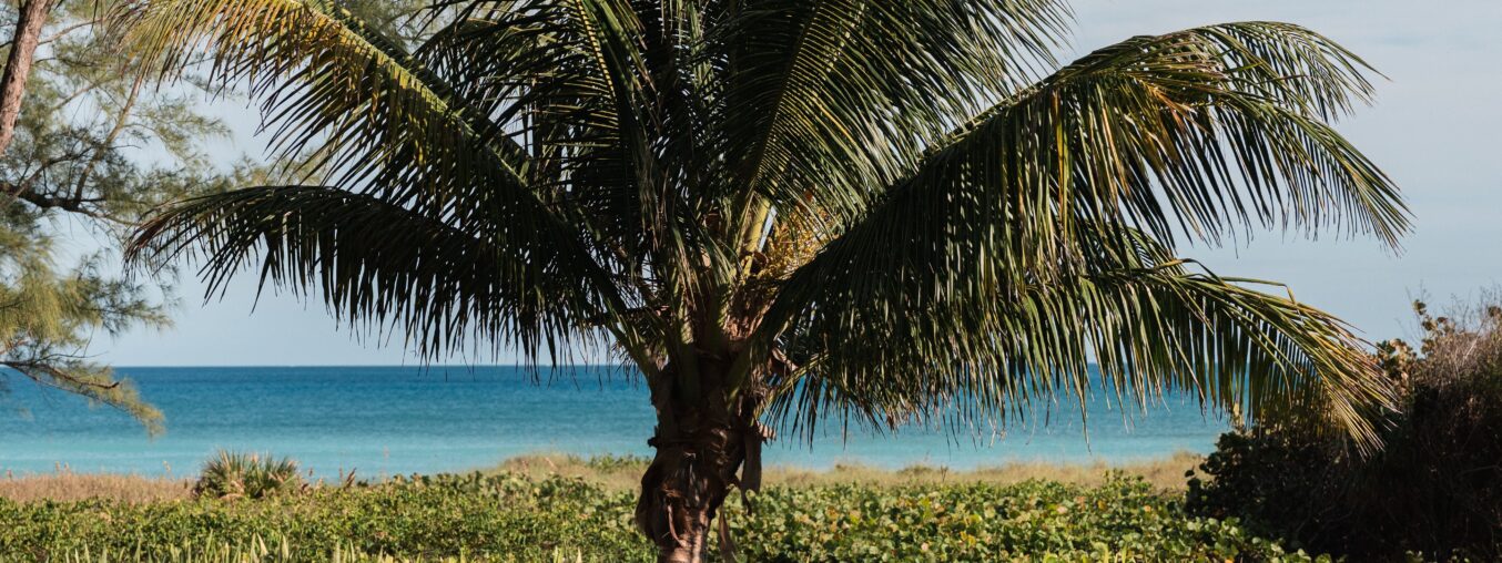 Wedding Procession Order: How to Plan Your Ceremony Entrance