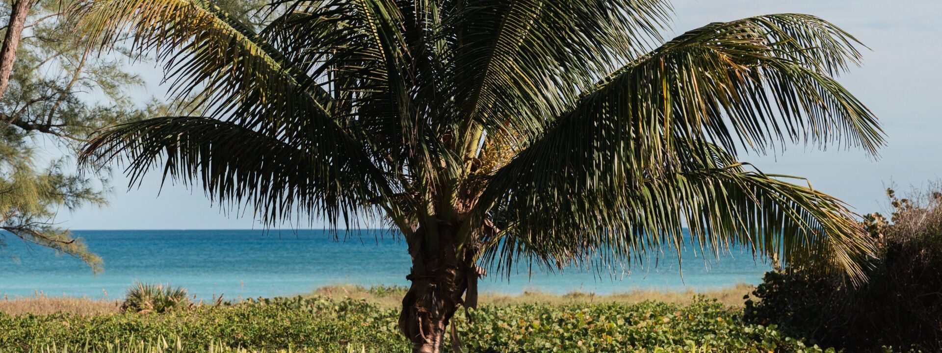 Wedding Procession Order: How to Plan Your Ceremony Entrance