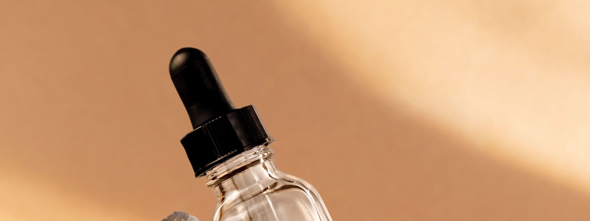 Introducing the 13 Startups Selected for L'Oréal's Inaugural Sustainability Accelerator