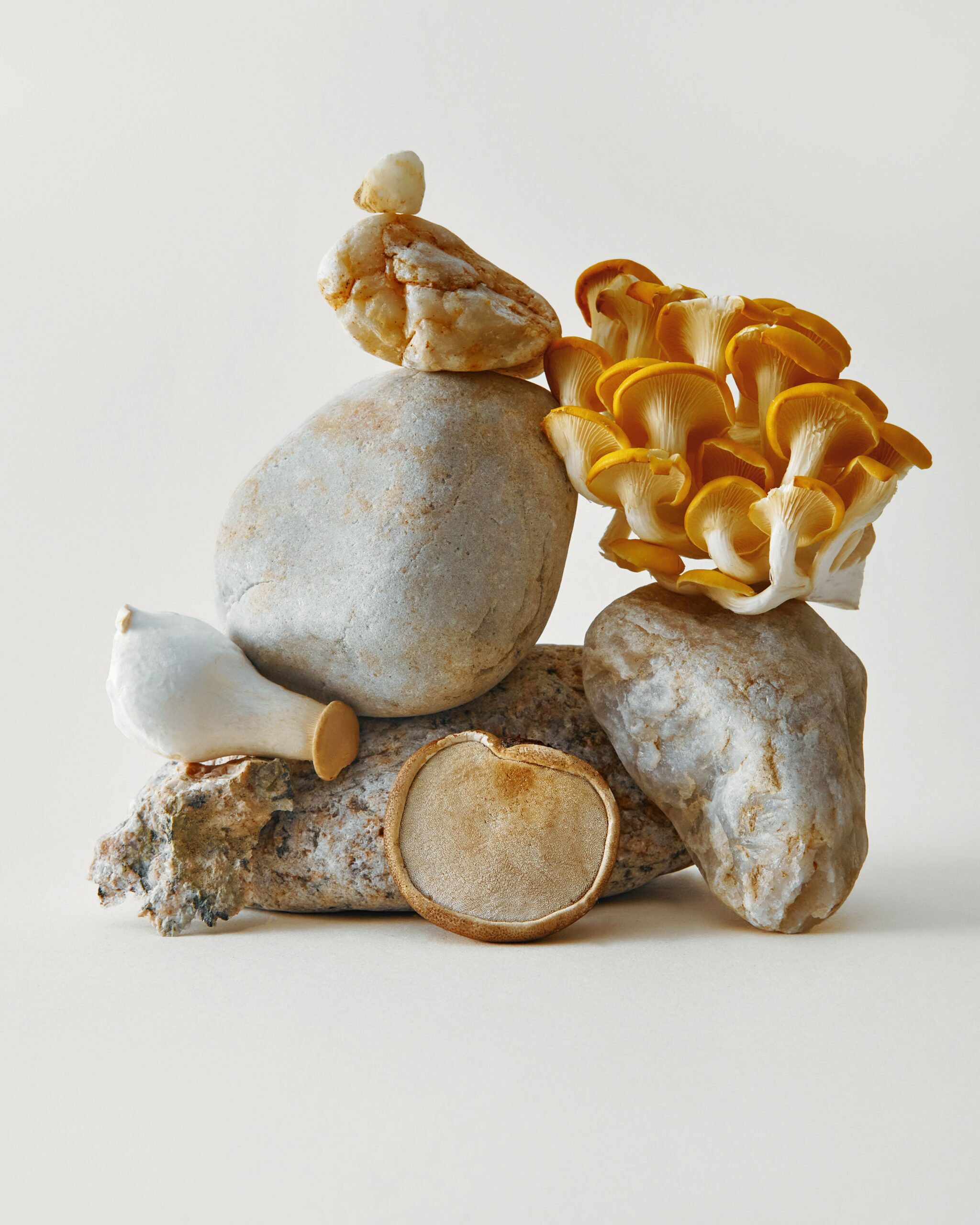 AdobeStock_593718171