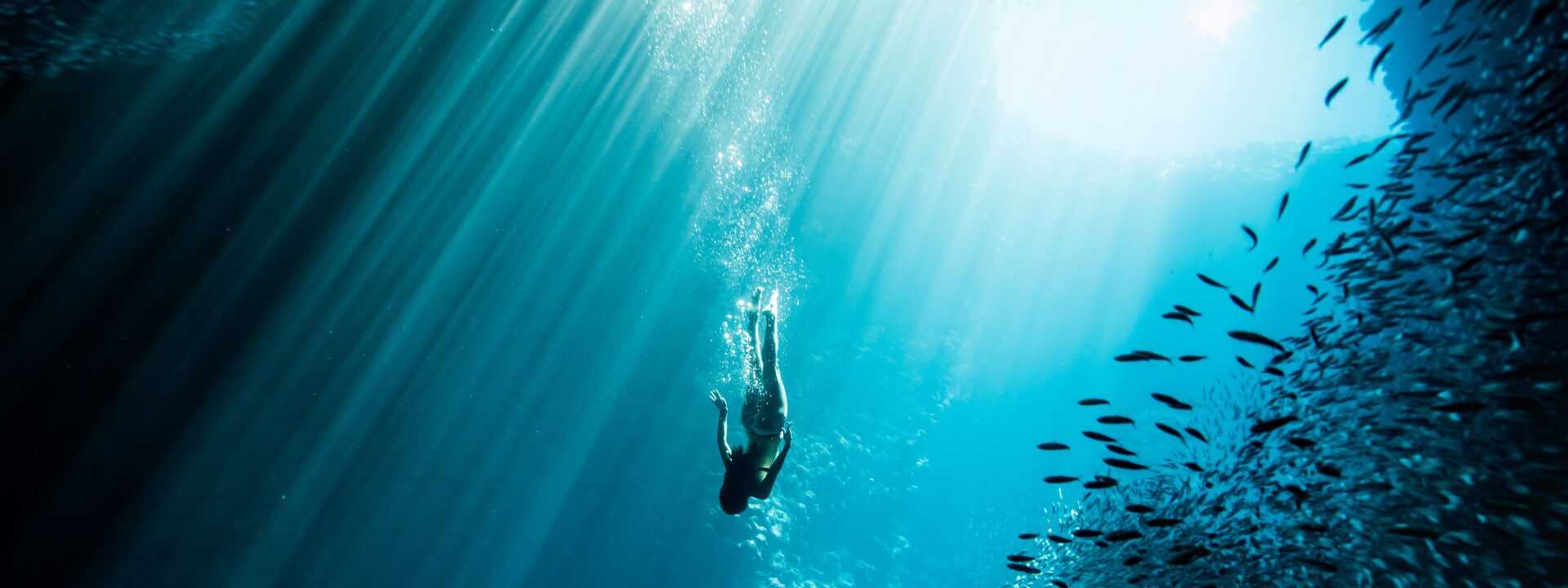 Free Diving: The Ultimate Wellness Reset

In a world of constant noise and digital overload, true wellness often requires a radical shift in environment and focus. Free diving—the practice of diving deep on