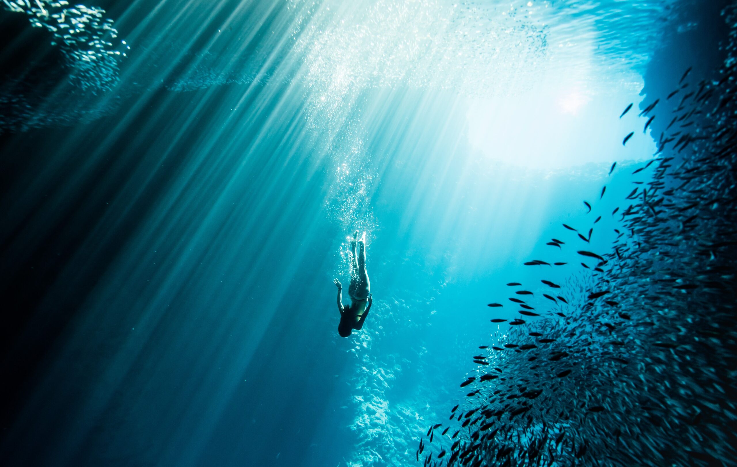 Kimi20Werner20Only20at20Hualalai20Experience204