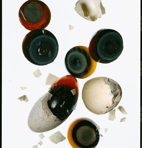 From the Archives: Jeffrey Steingarten Masters the Omelet