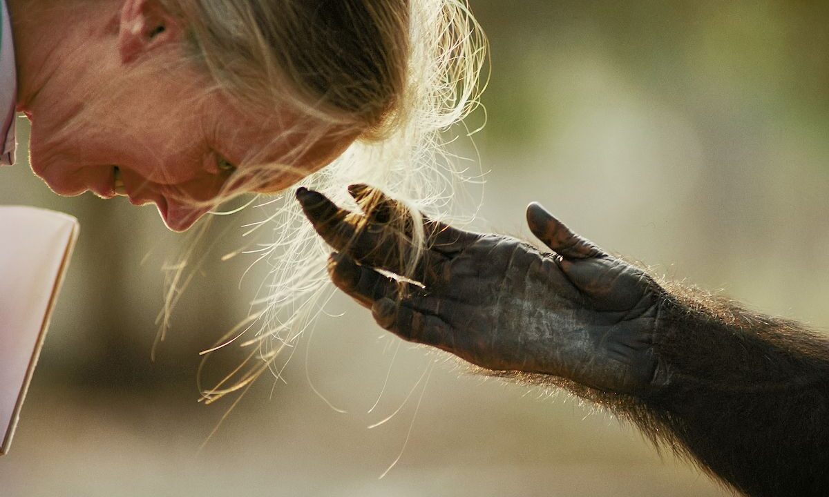 Celebrating Earth Day through the lens of the world's leading environmental photographers.