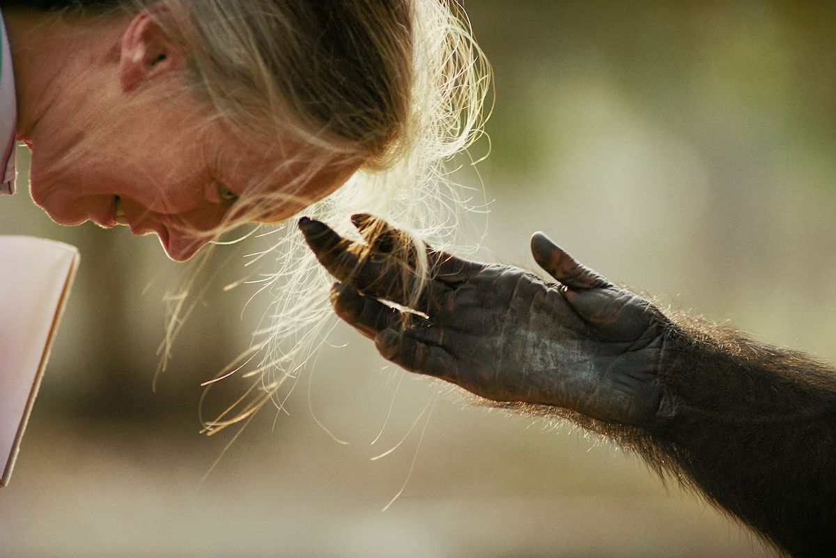 nichols_nick_jane_goodall