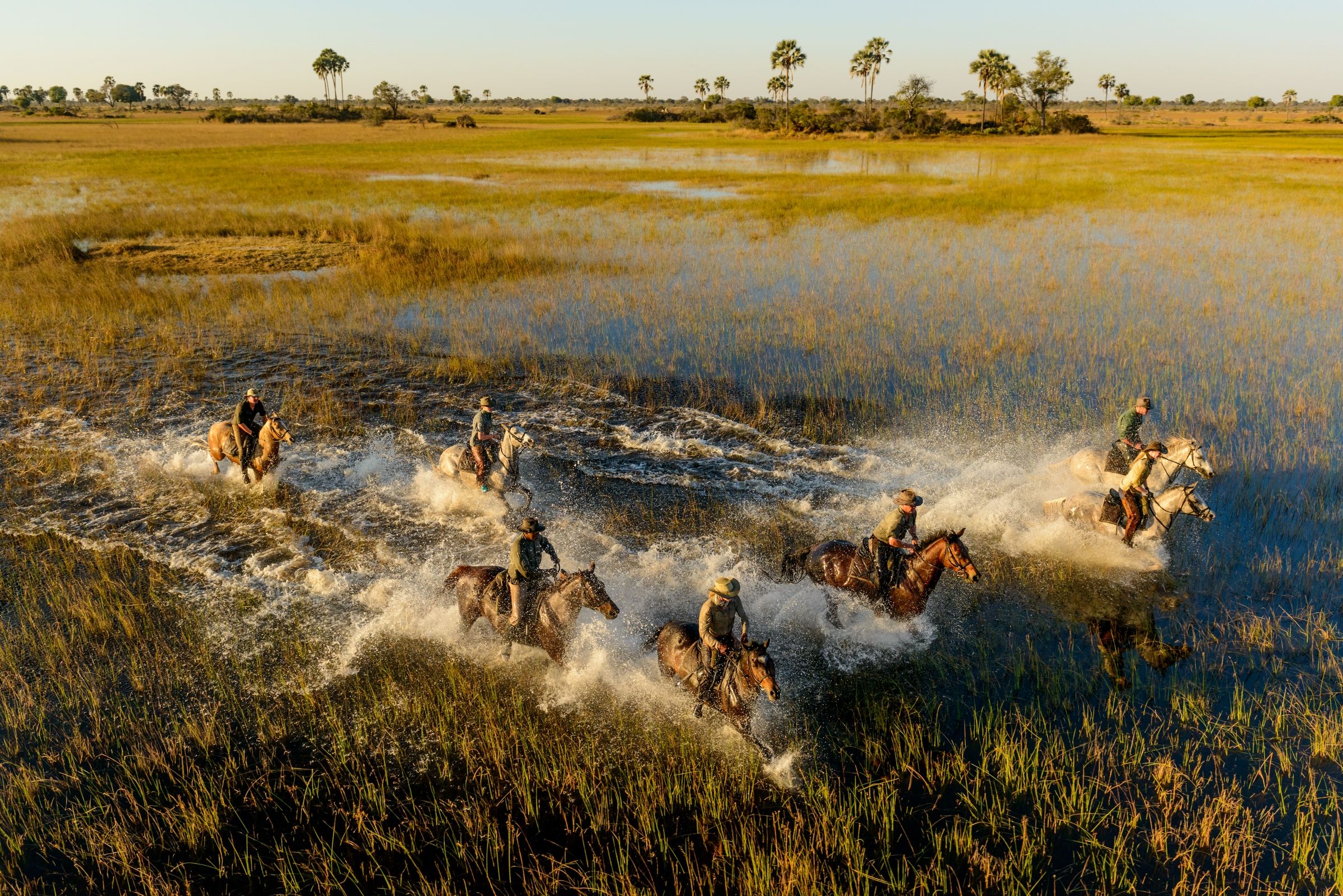 Botswana-African-Horse-Safaris