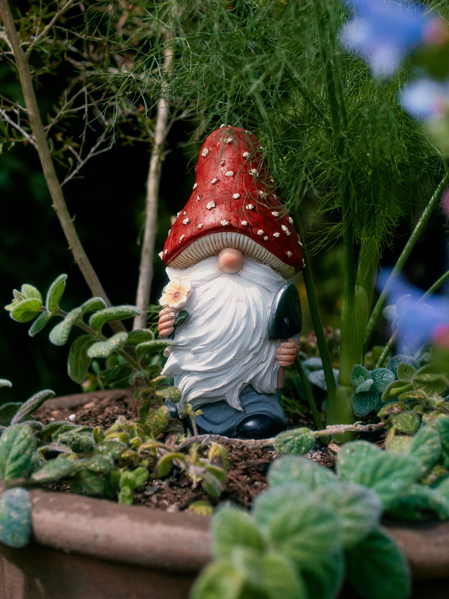 CHELSEA_FLOWER_SHOW_BRITISH_VOGUE_LM_2026-0535