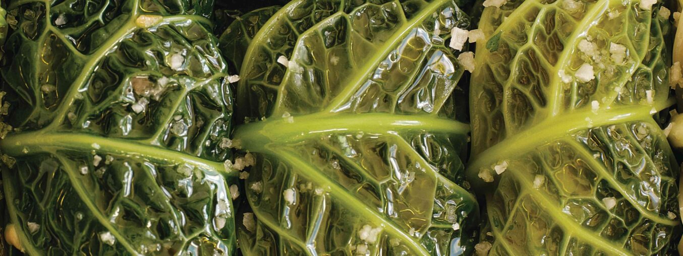 This new cookbook from the founder of Ghia will take you right to a Mediterranean summer.