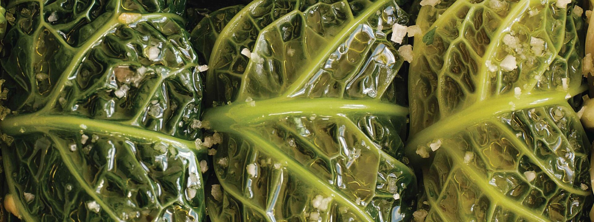 This new cookbook from the founder of Ghia will take you right to a Mediterranean summer.