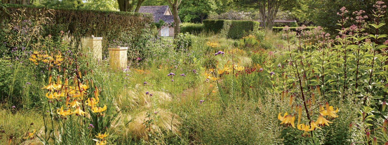 A chaos garden is a type of garden where plants are allowed to grow freely, without strict planning or control.