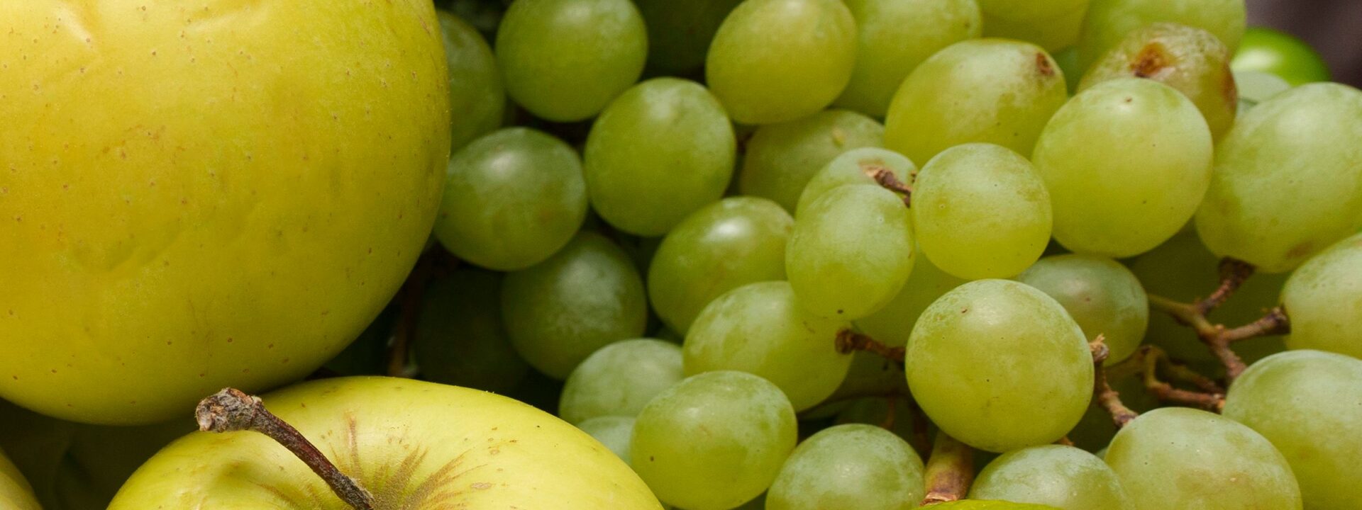 Here are 8 fruits that help fight inflammation and support gut health.