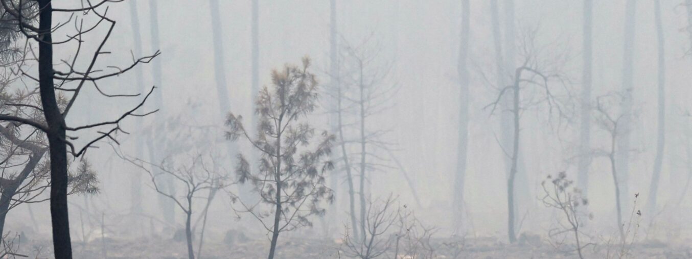 Here's the rewritten text:

How can brands handle the risks of wildfires?