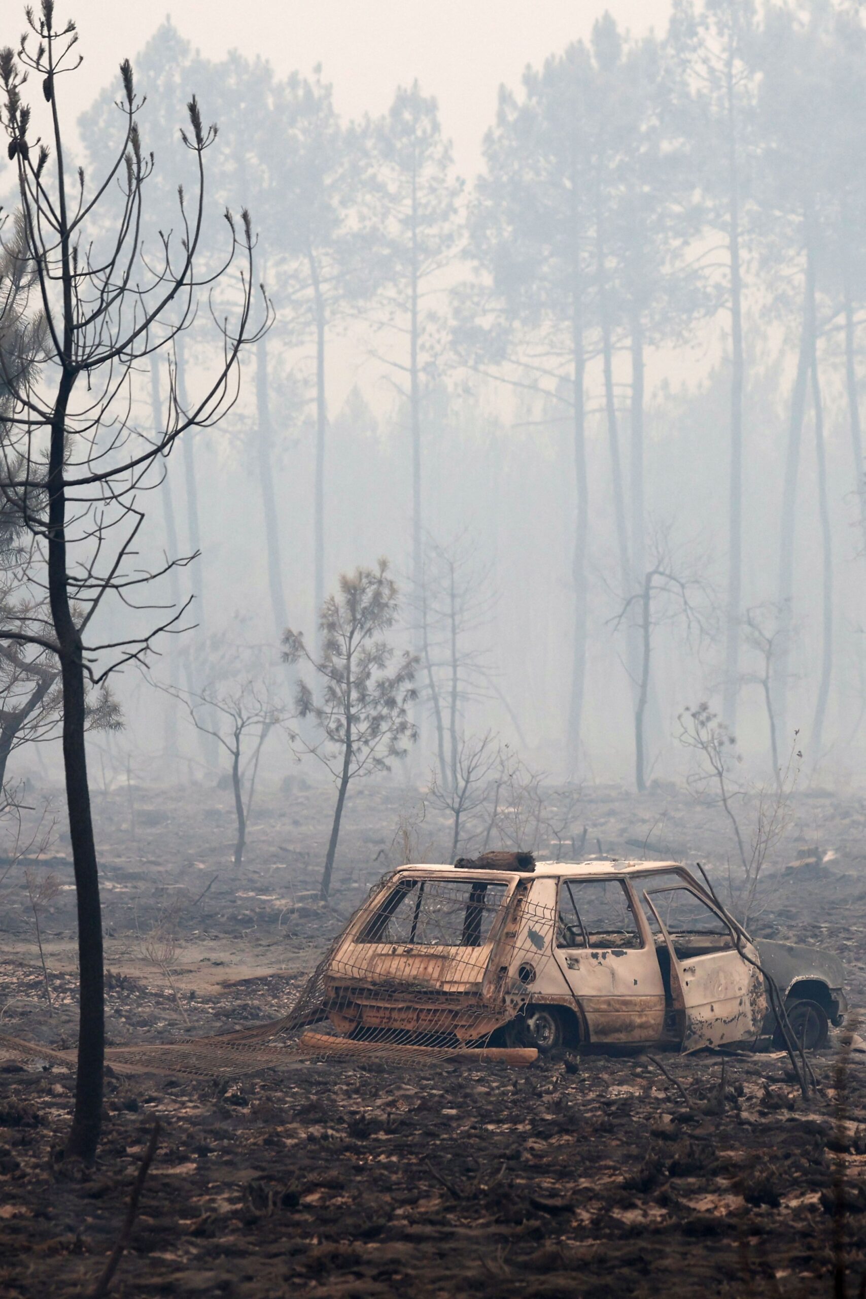 08-13-26-WILDFIRES-vogue-business-story