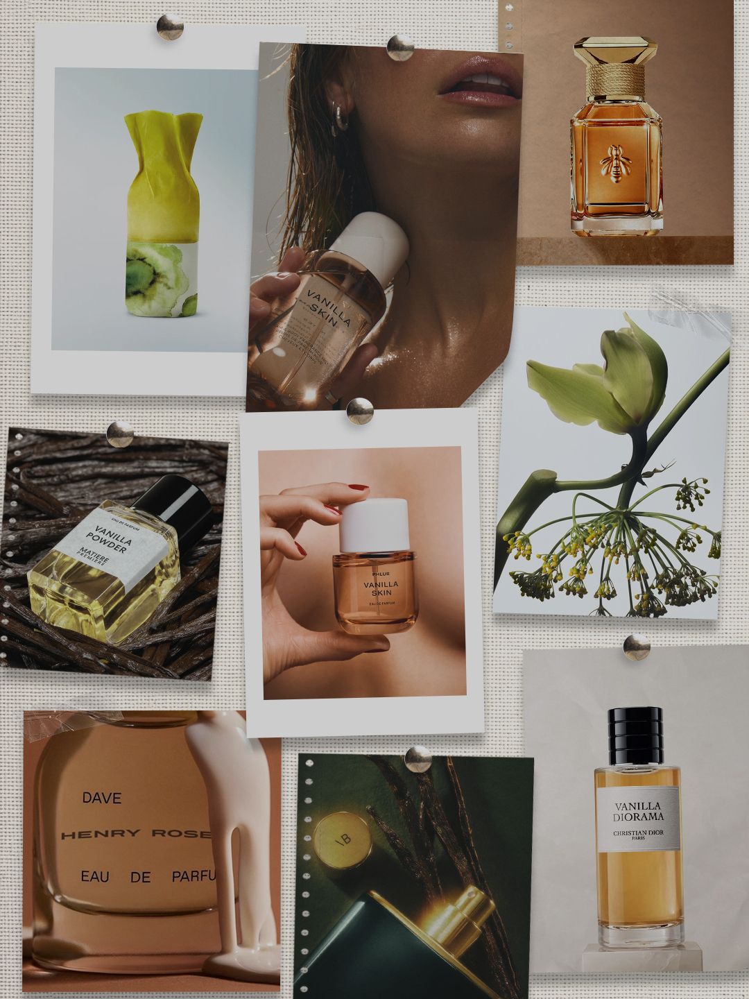 081426_vanillaperfume_pushpin_beautyholding