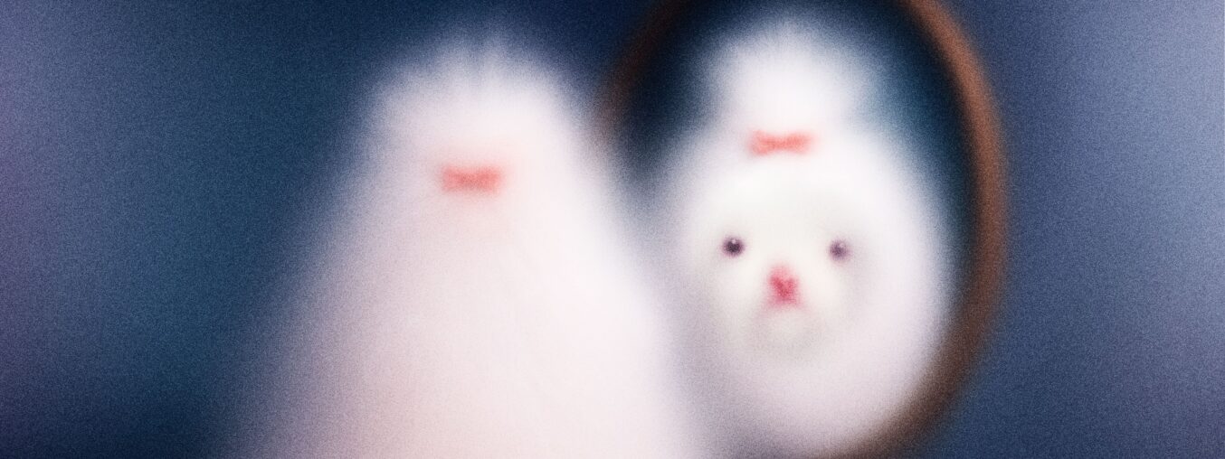 I love my dog—does that mean I should clone him?