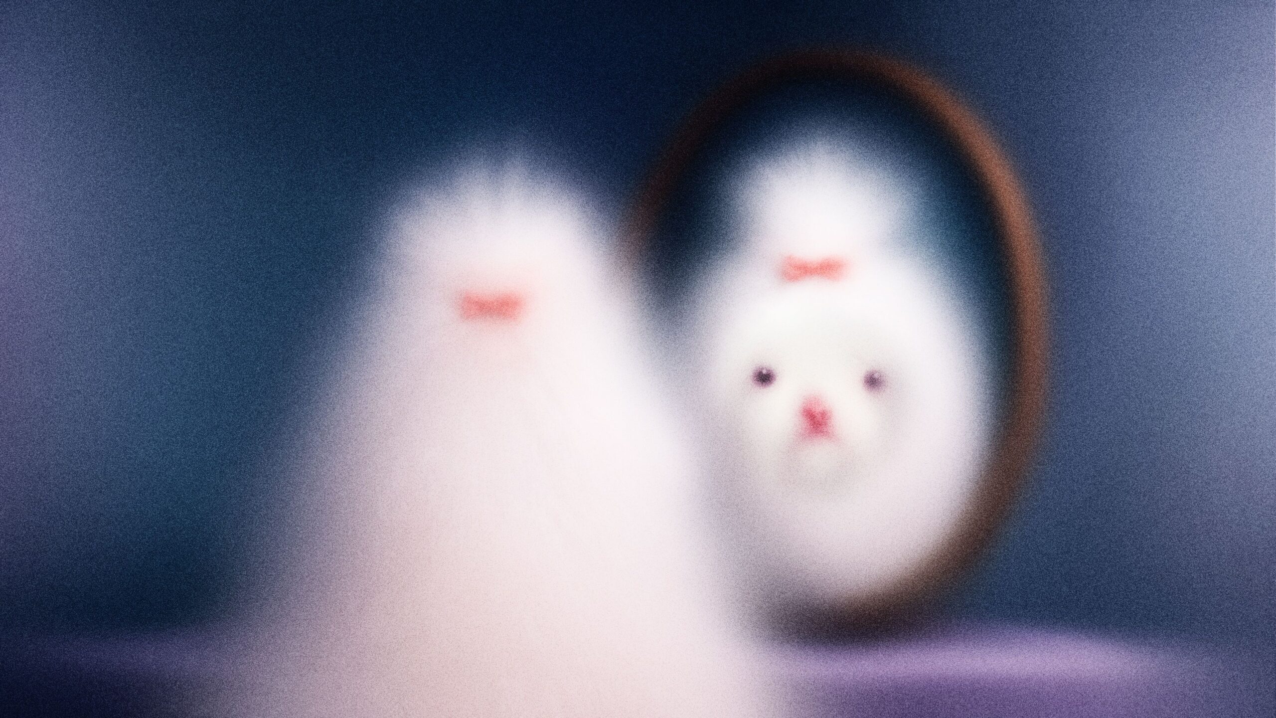 1204
