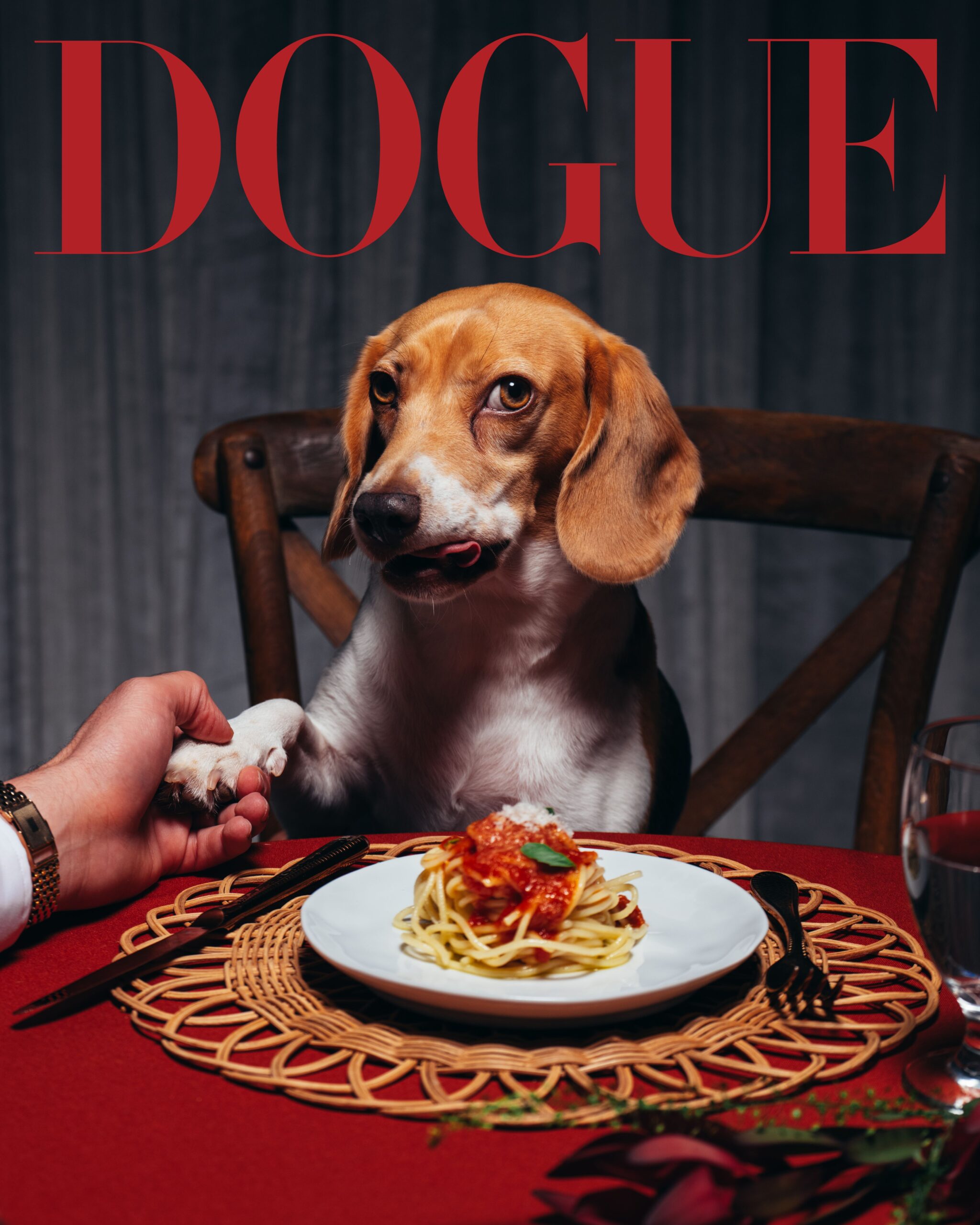 DOGUE26_BB