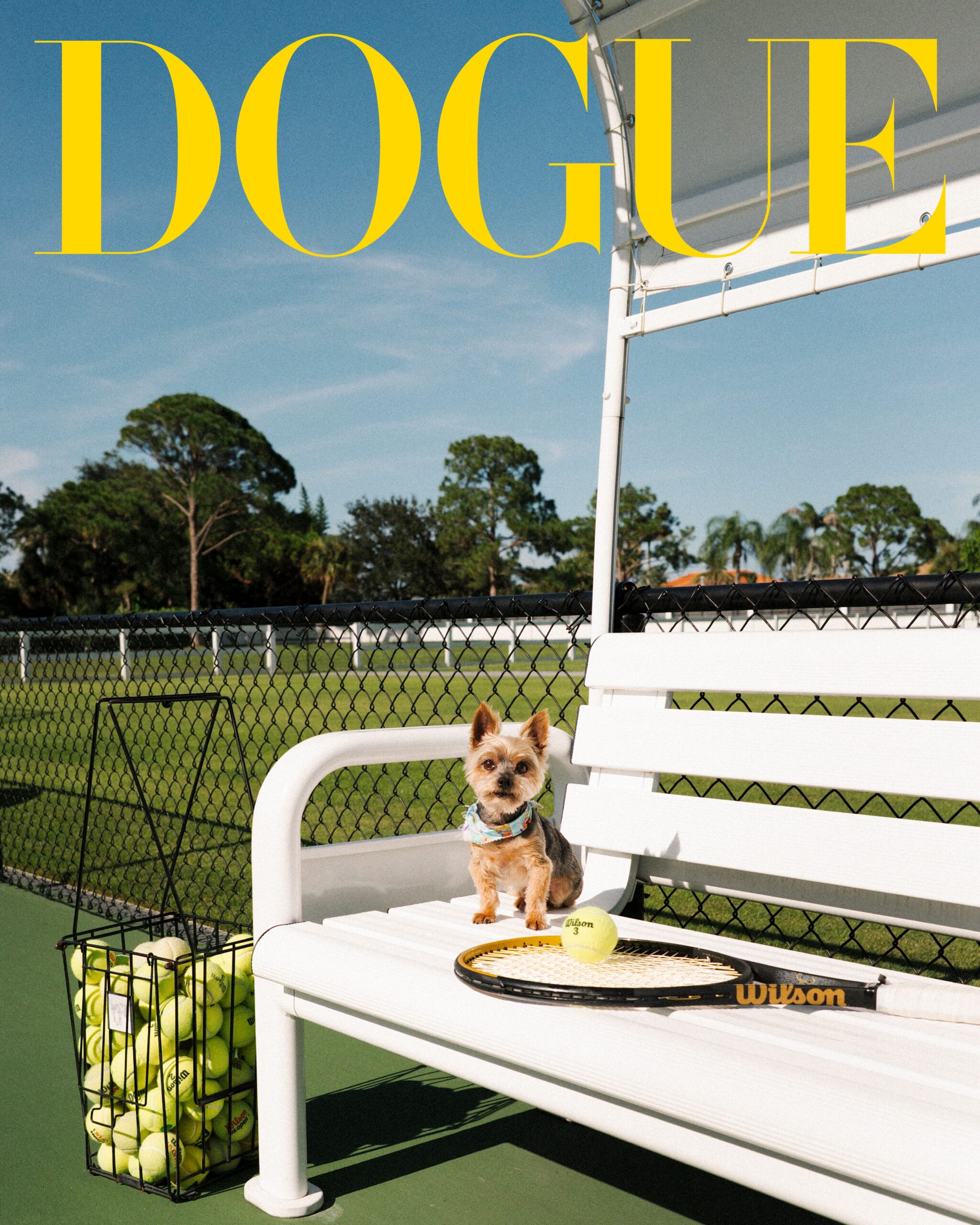 DOGUE26_SWCover