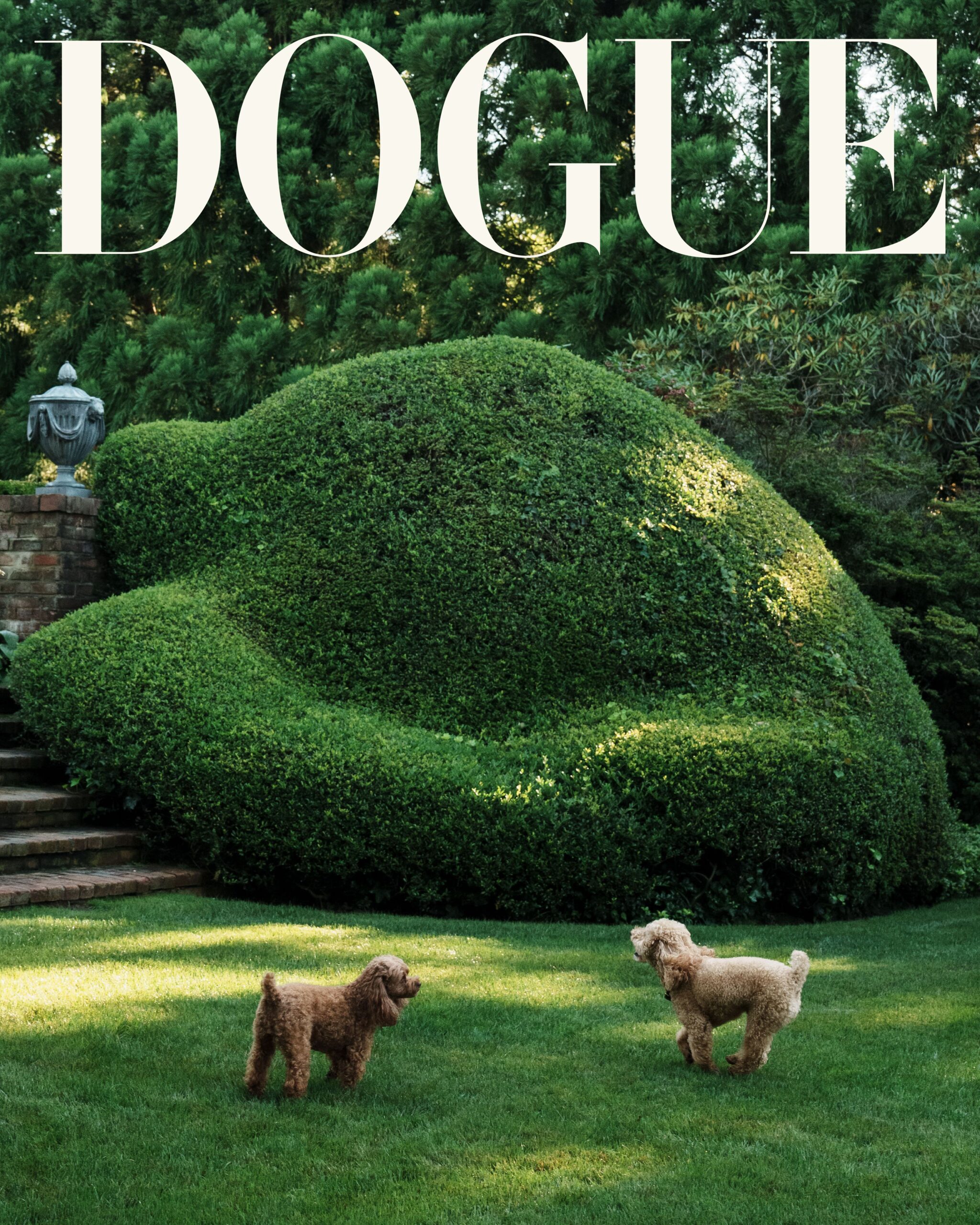 DOGUE26_TB2_cover