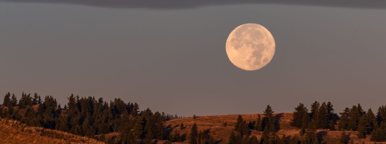 The 2026 Harvest Moon in Aries is on its way—here's what it means for each zodiac sign.