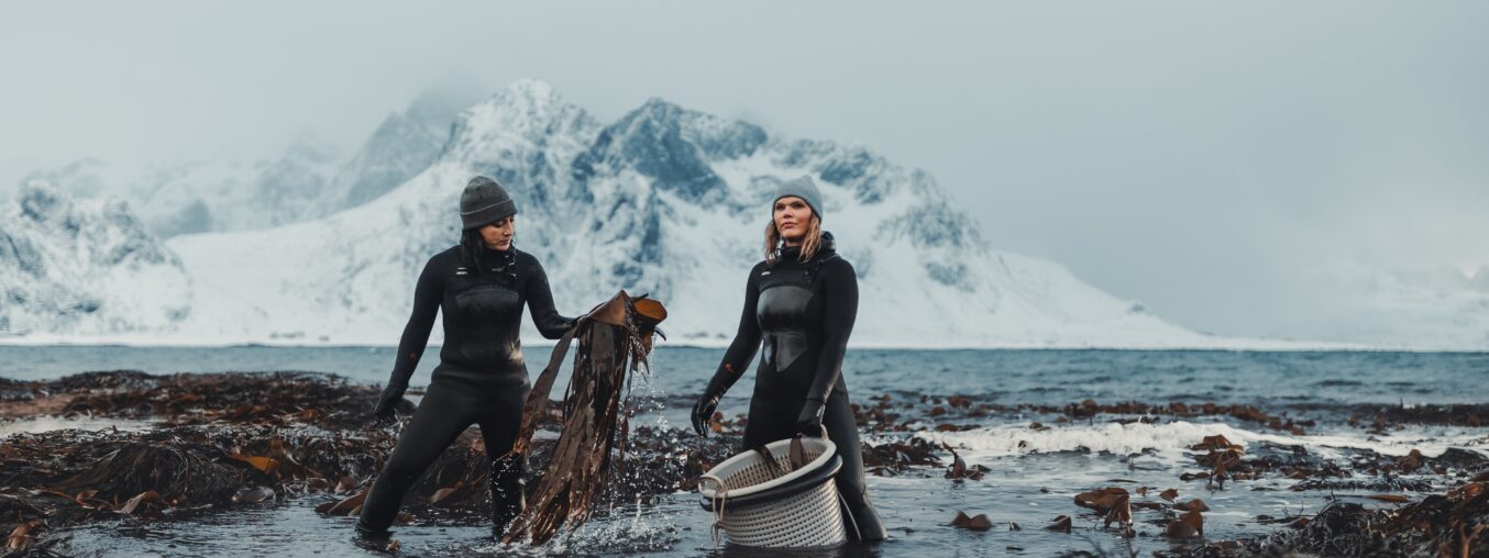 Meet the women at the forefront of Norway's seaweed revolution.