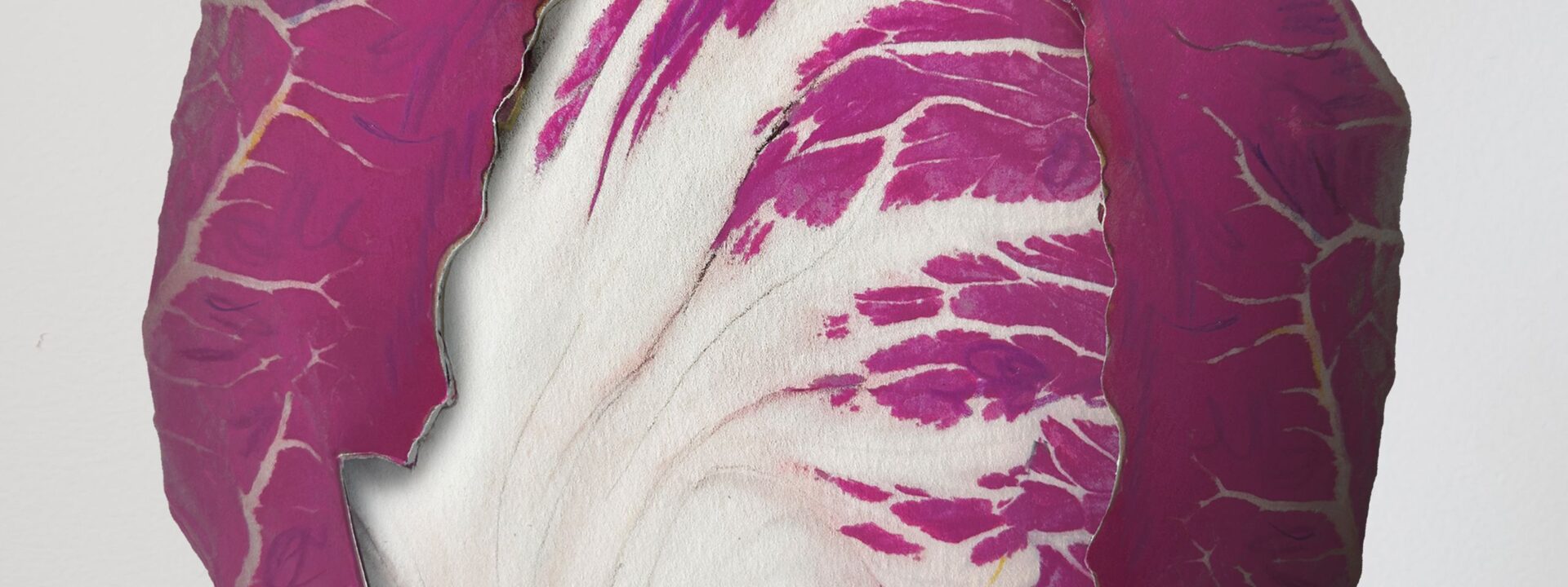 All hail chicory—the best thing you can put on your plate.